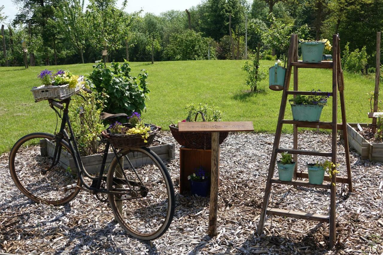 Отель Le Manoir Des Aromes Brugny-Vaudancourt Экстерьер фото